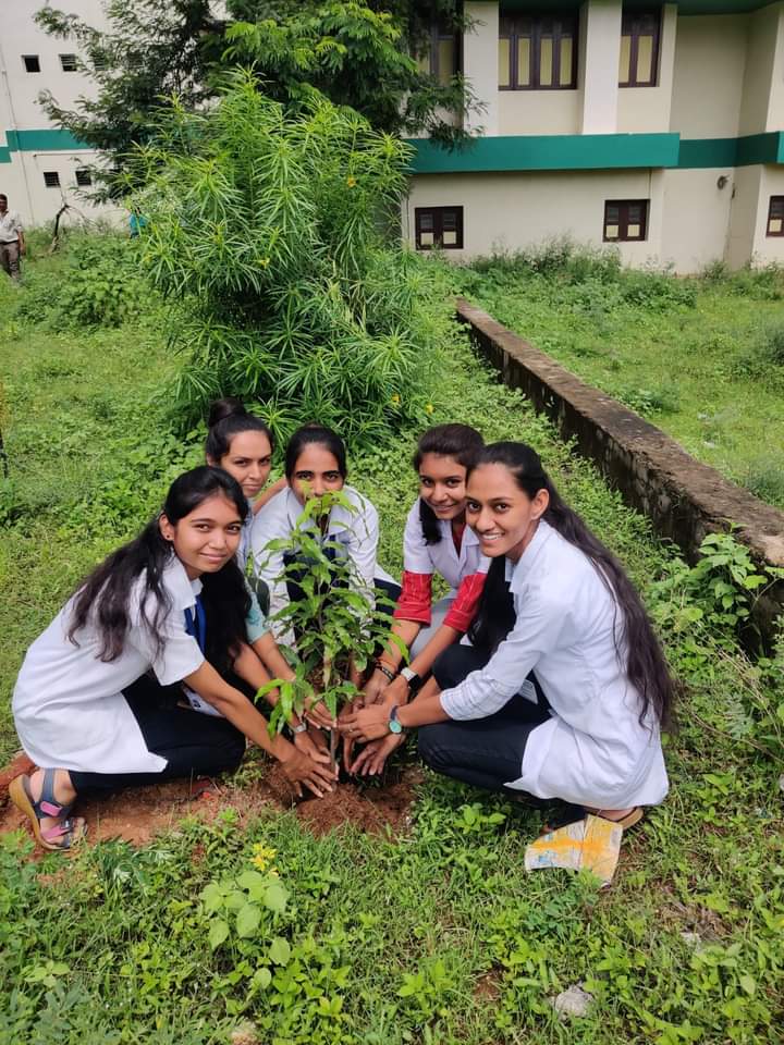 Tree Plantation Programme